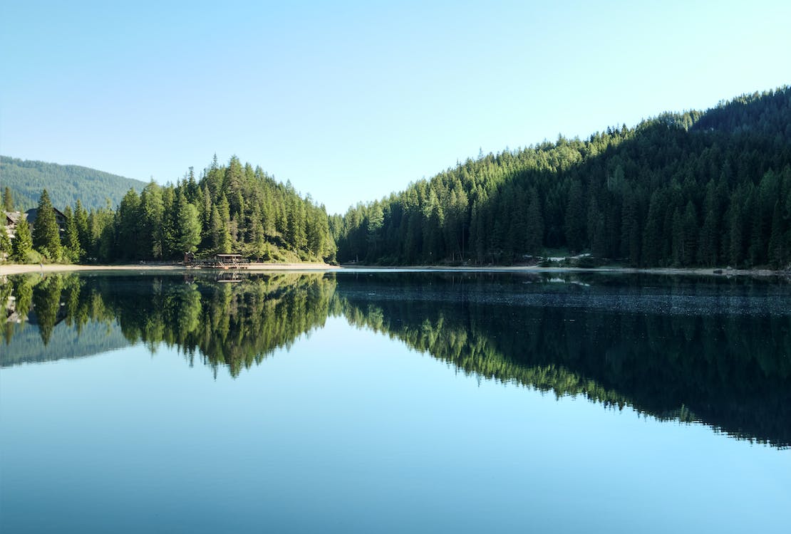 1678238884109859.jpeg pexels-photo-518485.jpeg