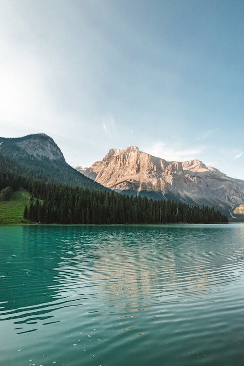 1679016639857283.jpeg pexels-photo-6272223.jpeg