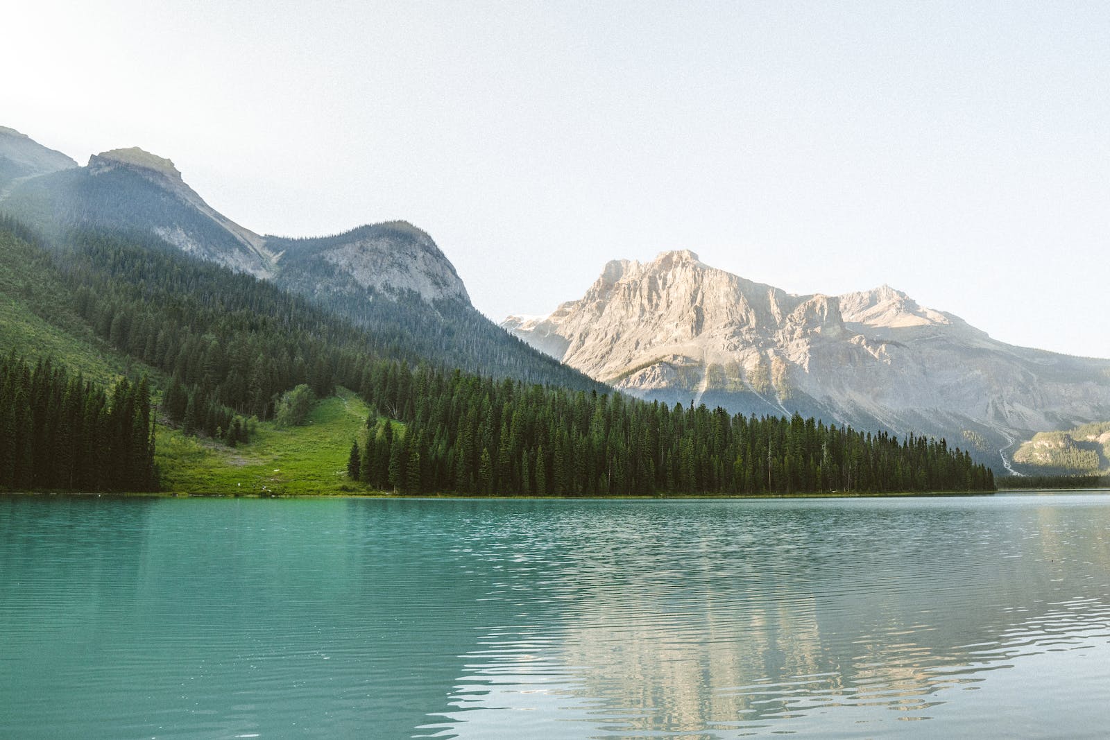 1679277205443023.jpeg pexels-photo-6272232.jpeg