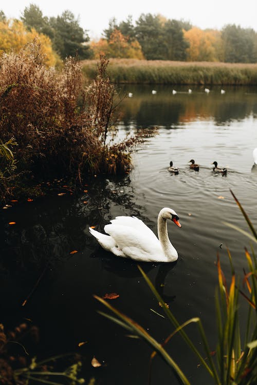 1679534796716014.jpeg pexels-photo-14434666.jpeg