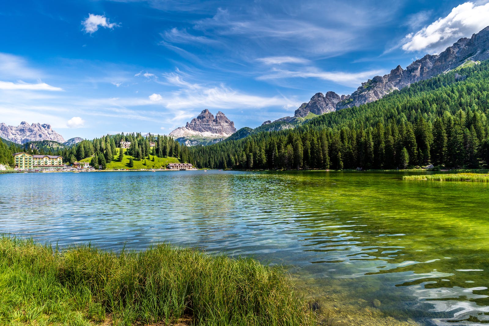 1682217782348198.jpeg pexels-photo-3996433.jpeg