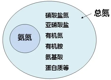 1682493481389619.jpg 16.webp.jpg